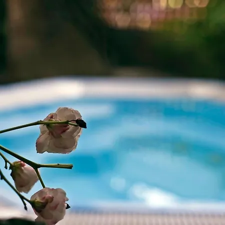 Leuco' Hotel Martinsicuro